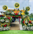 Lan Anh Wedding