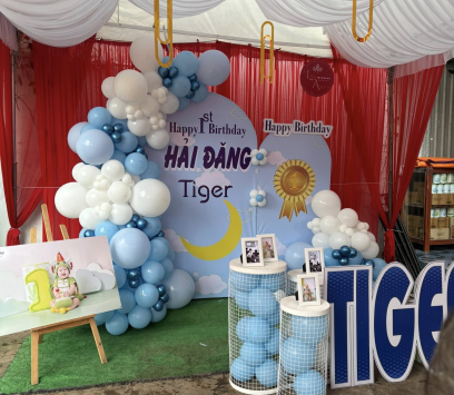 DỊCH VỤ TRANG TRÍ SINH NHẬT KHU VỰC BA TRI
