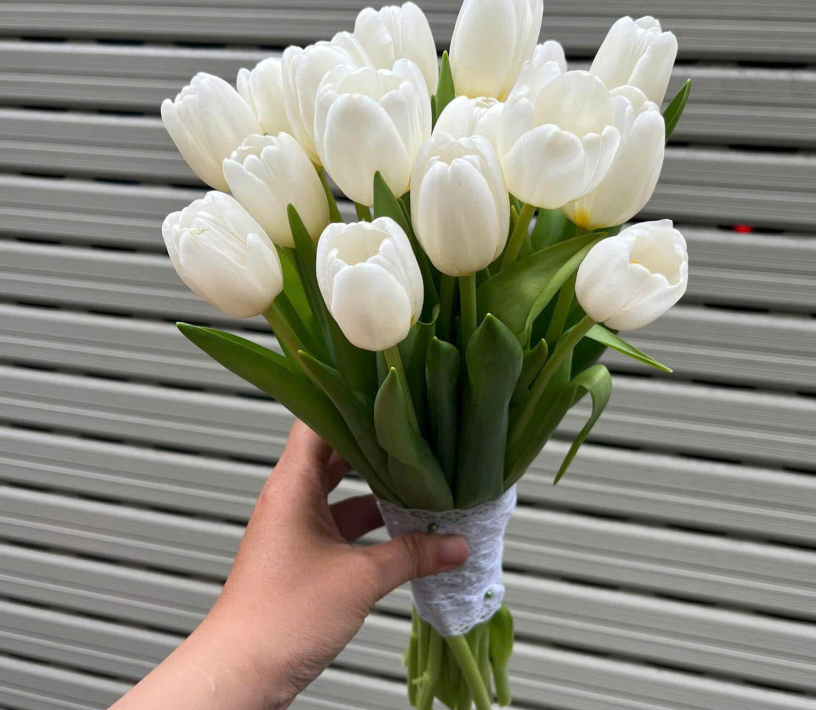 MẪU HOA CƯỚI TULIP TRẮNG 