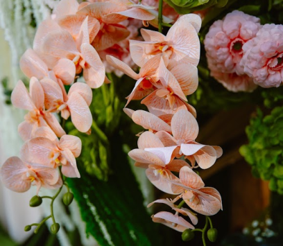 DECOR CƯỚI TRỌN GÓI BA TRI, BẾN TRE