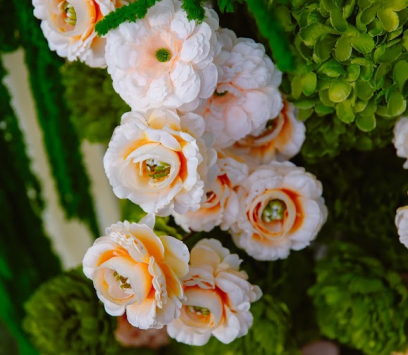 DECOR CƯỚI TRỌN GÓI BA TRI, BẾN TRE